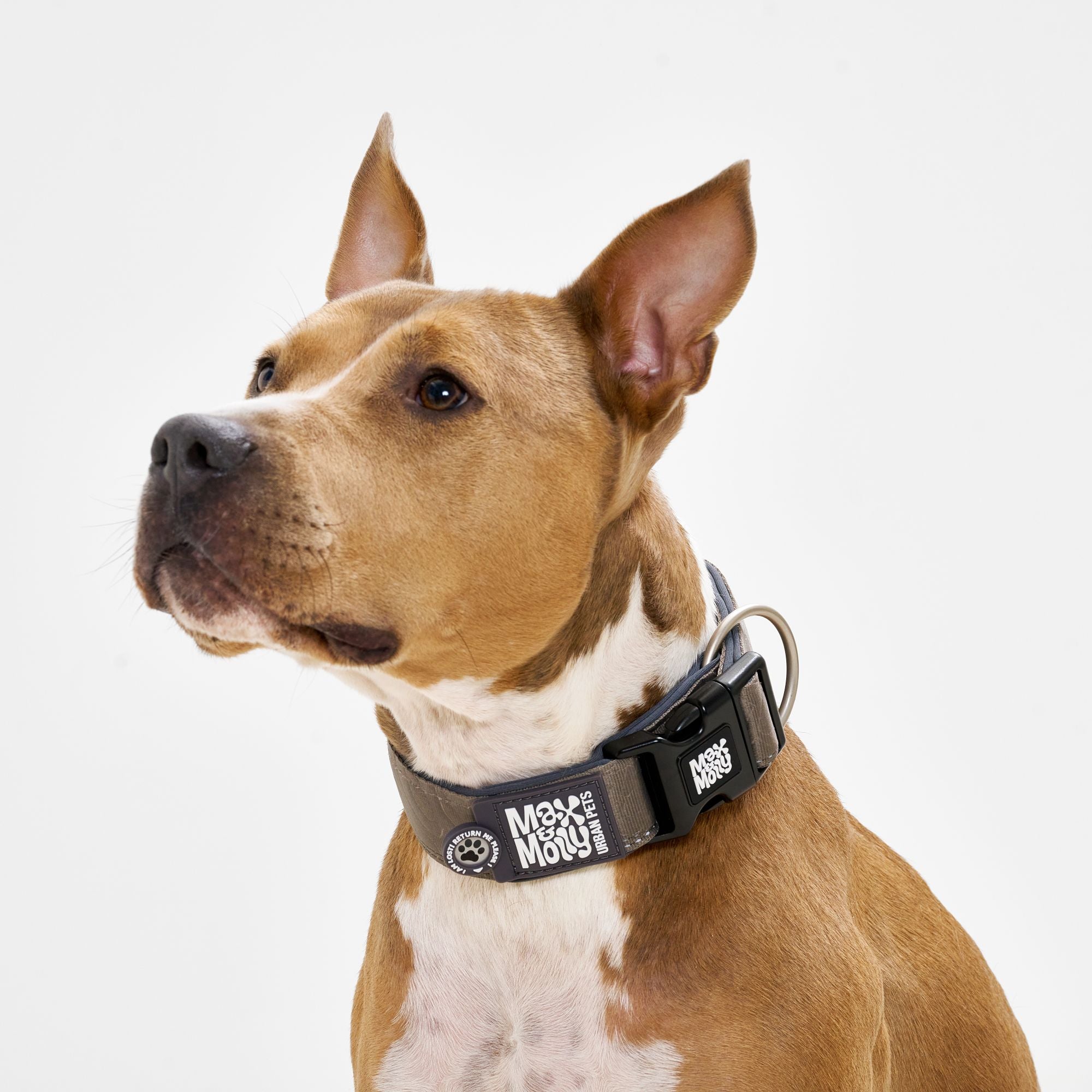 Smart ID Breites Halsband - Matrix 2.0 Stone