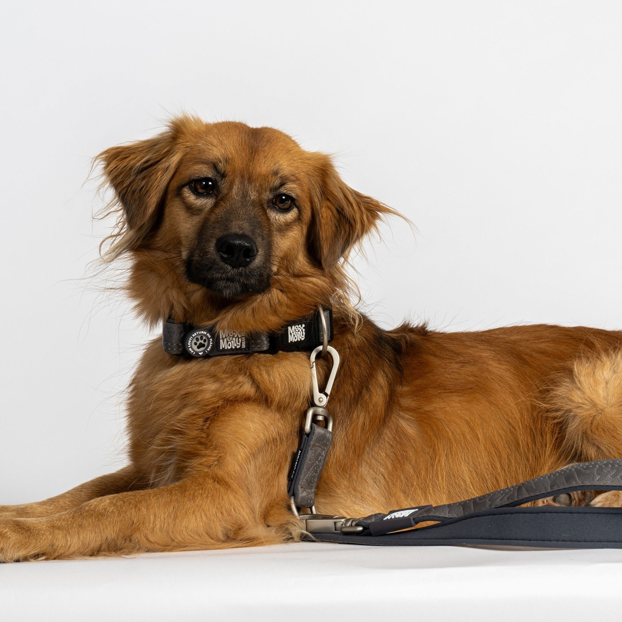 Multifunctional Leash - Matrix 2.0 Stone