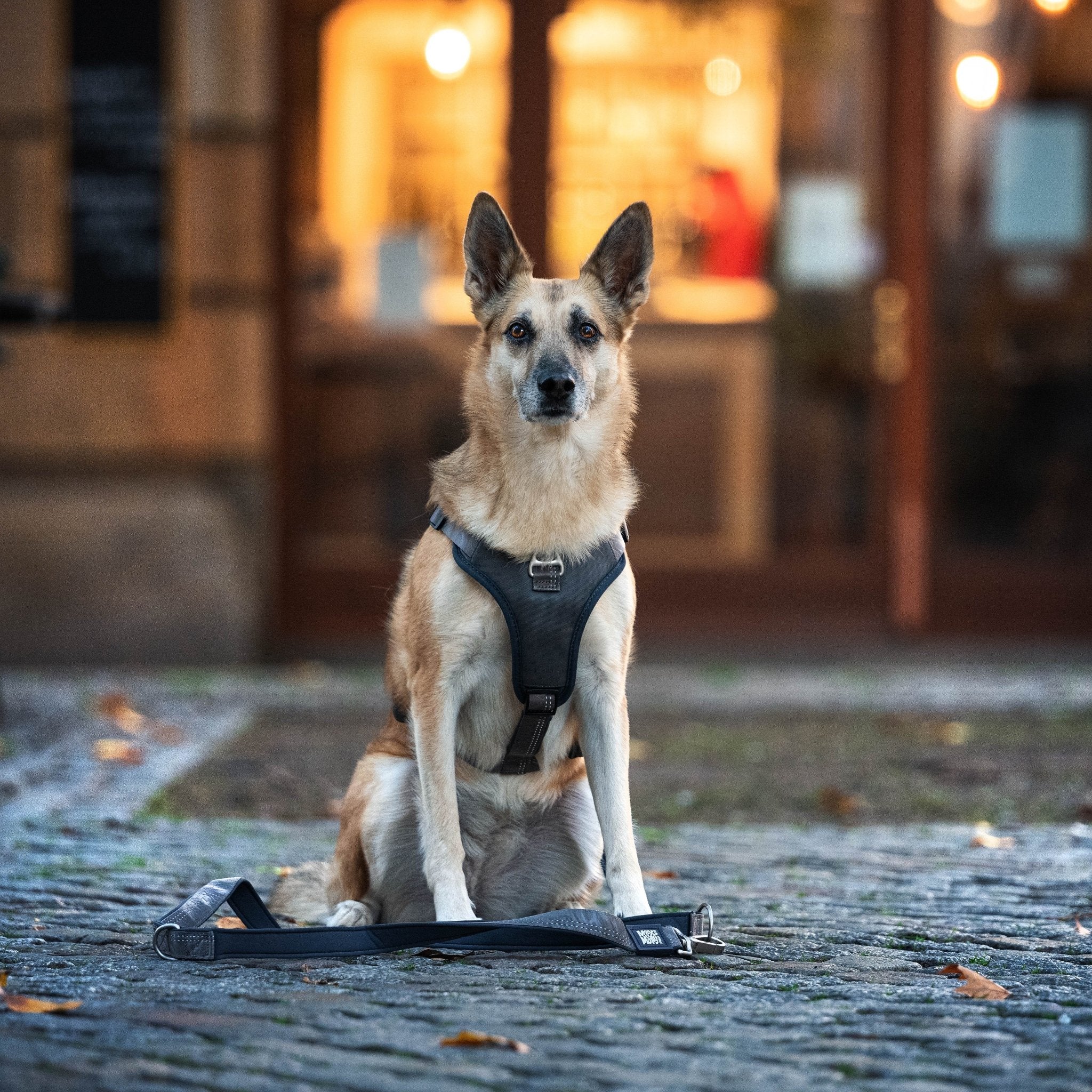 GOTCHA! Smart ID Sport Harness - Matrix 2.0 Stone