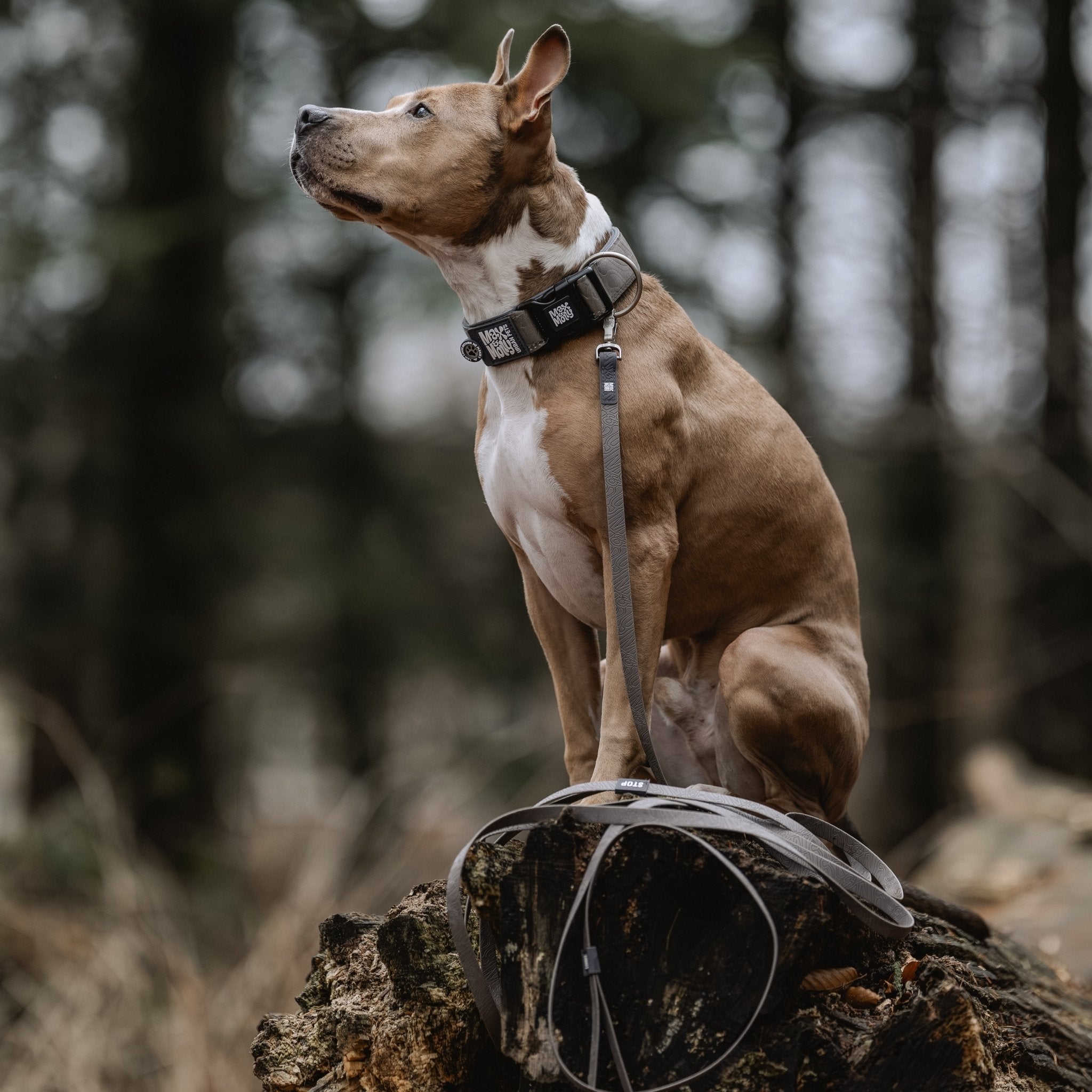 Schleppleine mit Handschlaufe - Matrix 2.0 Stone