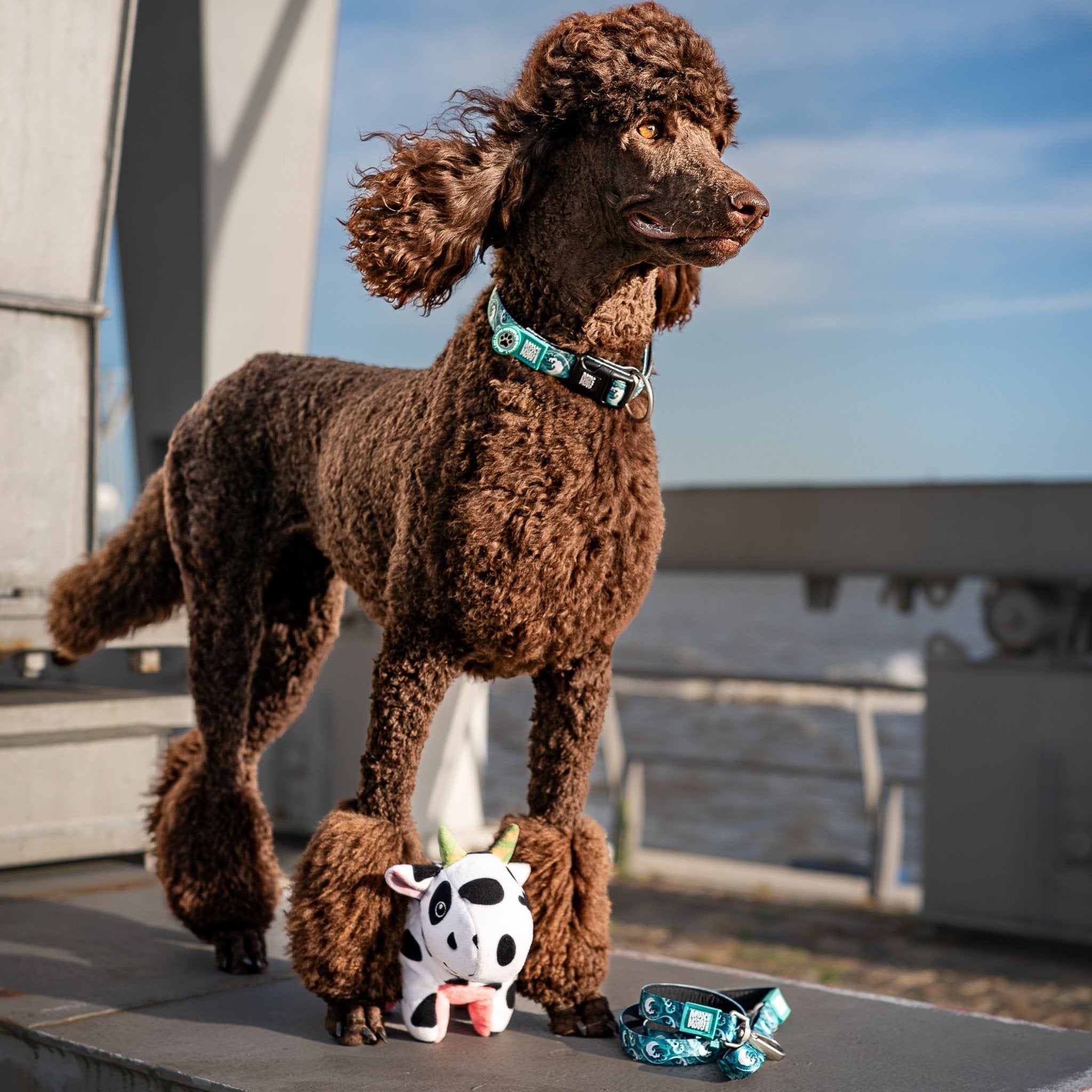 GOTCHA! Smart ID Halsband - Storm