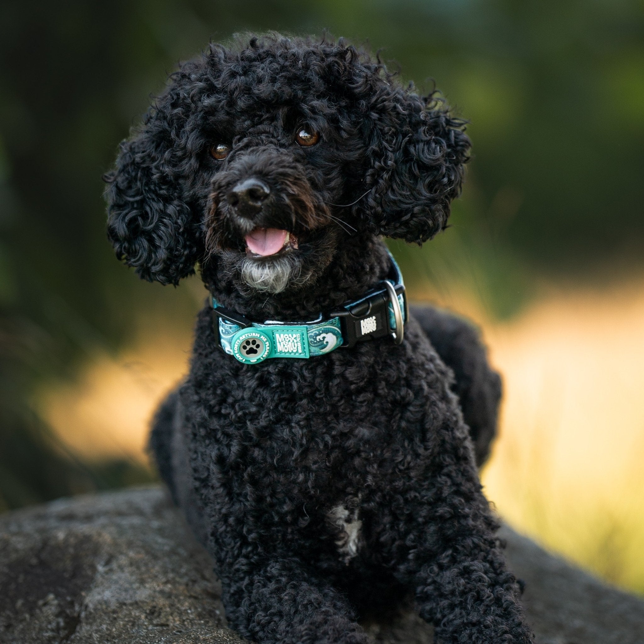 GOTCHA! Smart ID Halsband - Storm