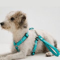 Handle Leash - Matrix 2.0 Turquoise