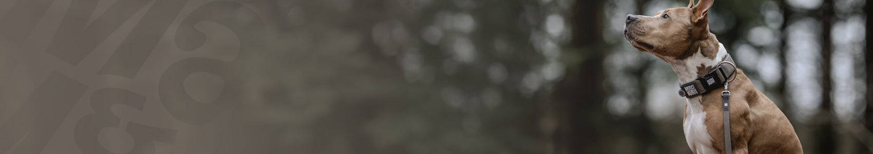 Schleppleinen - Matrix 2.0