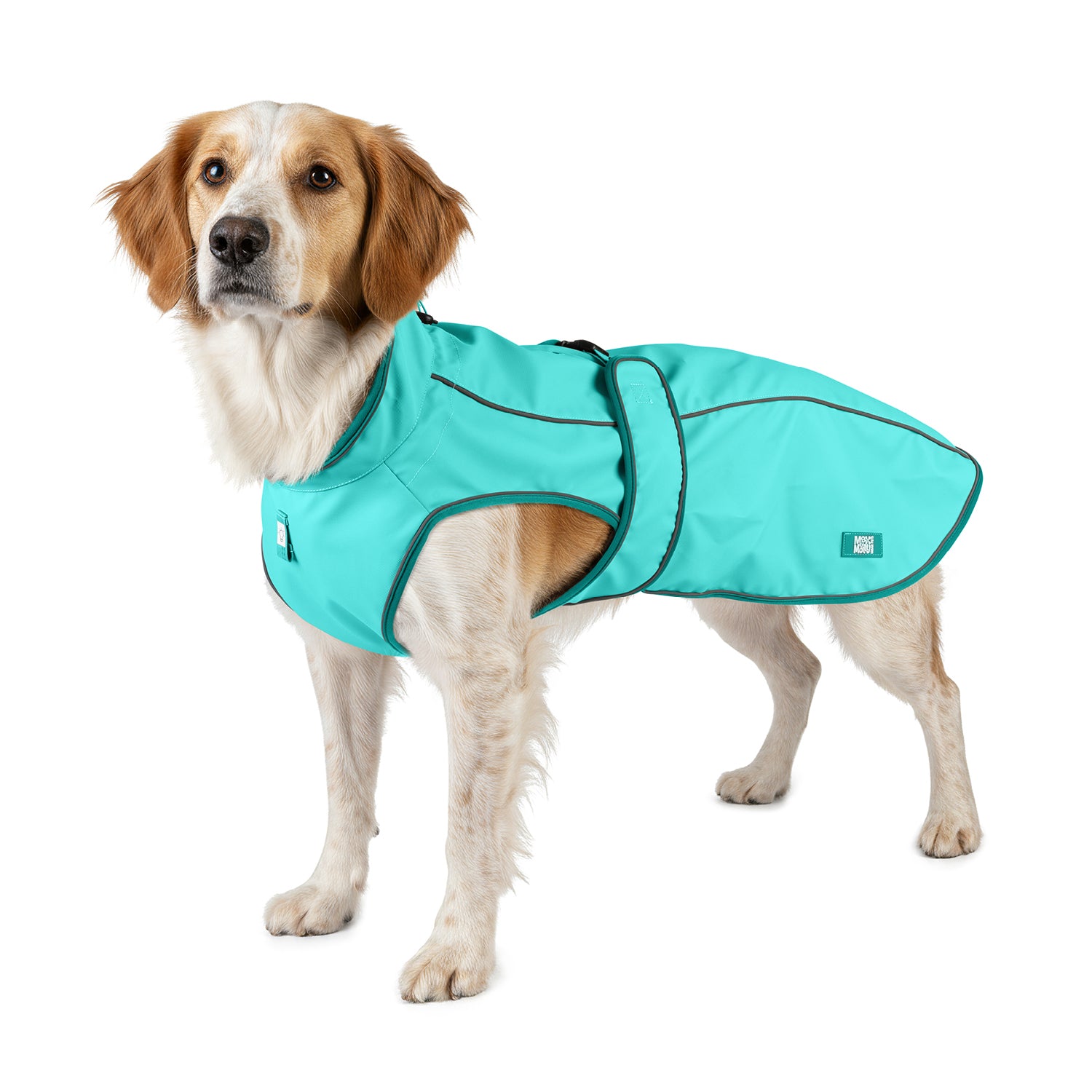 Regenmantel für Hunde - Matrix 2.0 Türkis