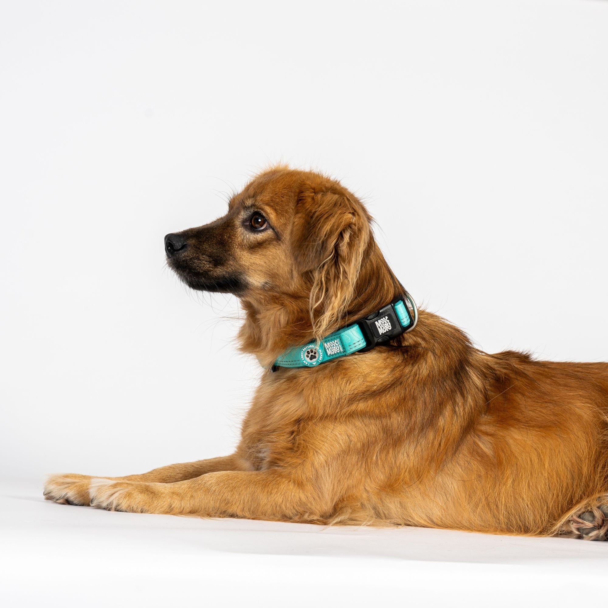 GOTCHA! Smart ID Collar - Matrix 2.0 Turquoise