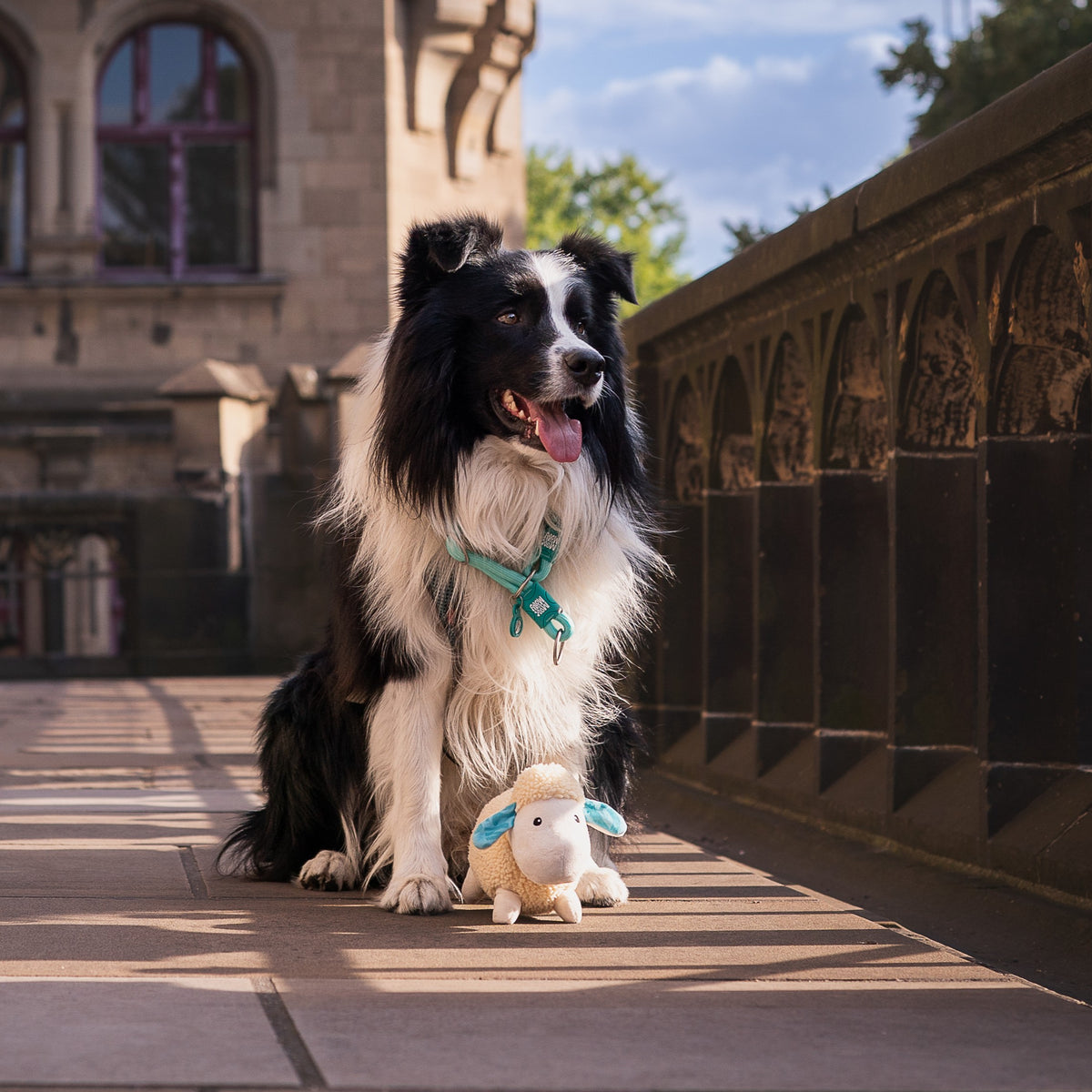 Gotcha! Smart ID Martingale Collar - Matrix 2.0 Turquoise