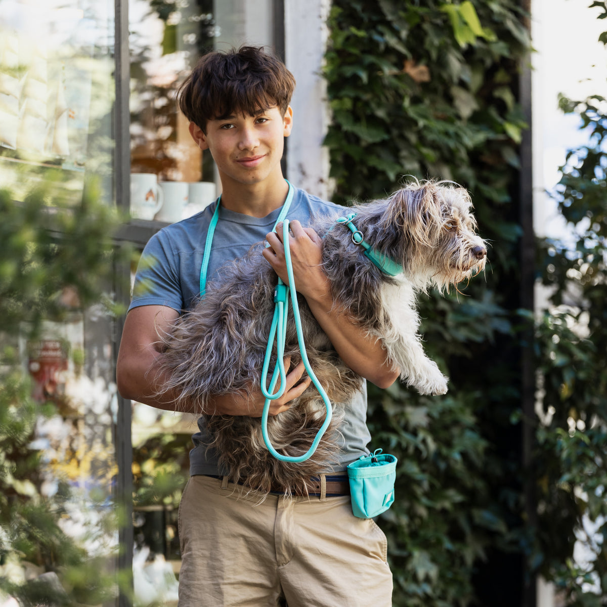 Retriever Rope Leash - Matrix 2.0 Turquoise
