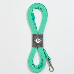 Tracking Leash with handle - Matrix 2.0 Turquoise