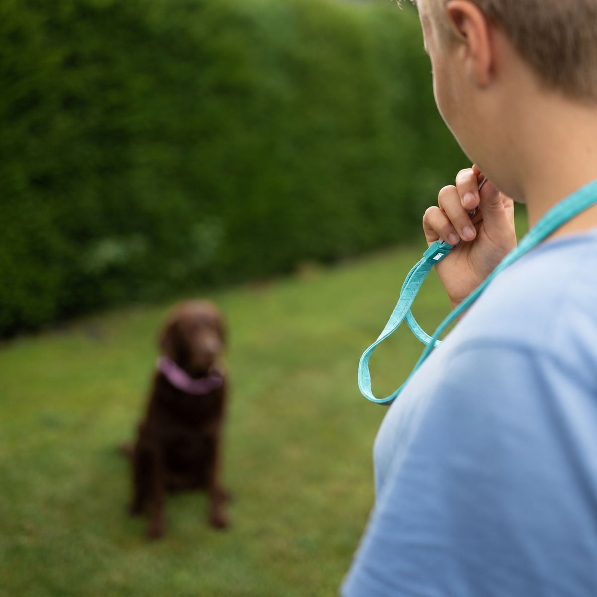Dog Whistle Lanyard - Matrix 2.0 Turquoise