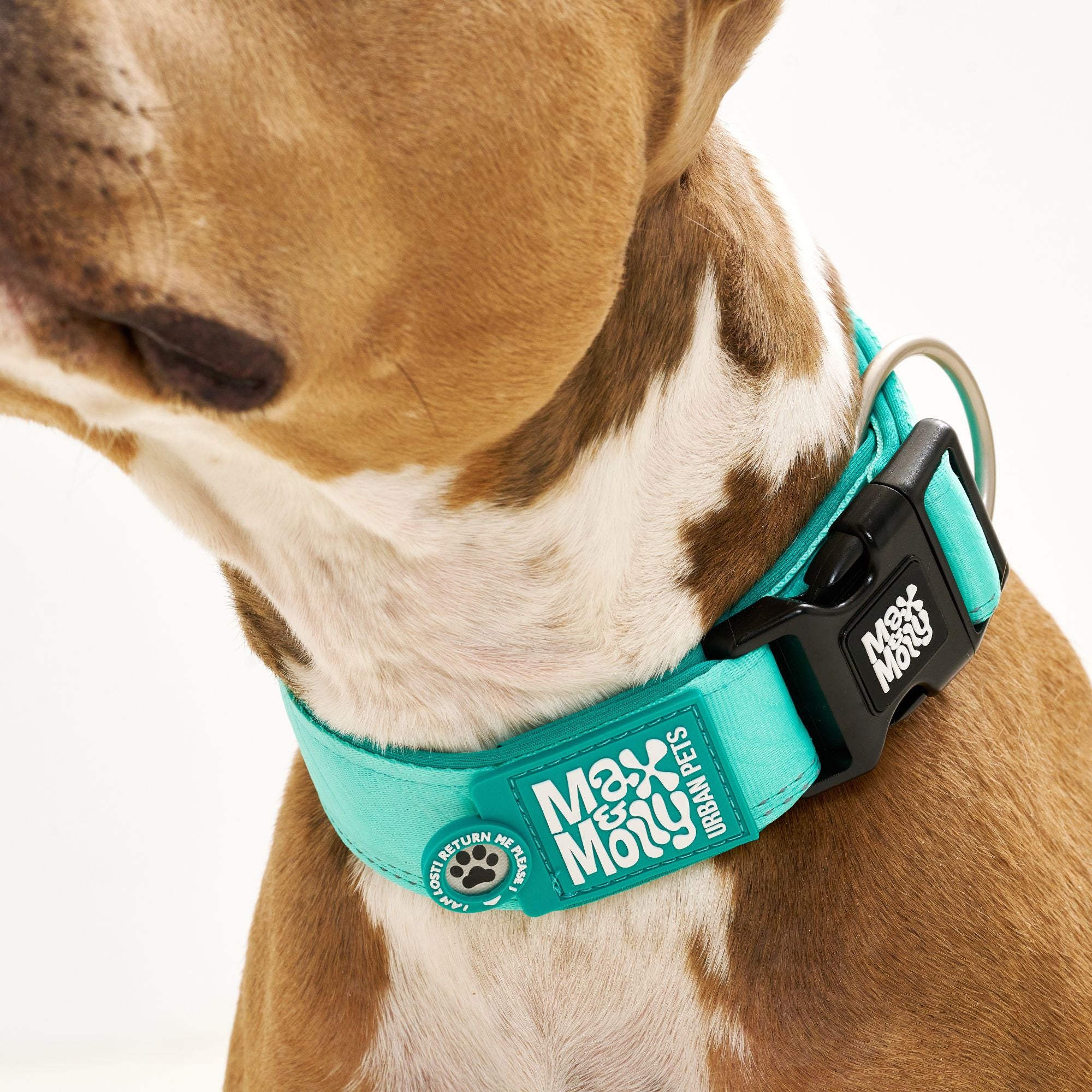 Smart ID Wide Collar - Matrix 2.0 Turquoise