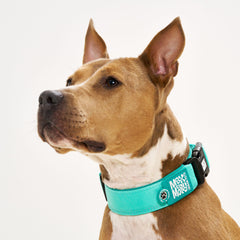 Smart ID Wide Collar - Matrix 2.0 Turquoise