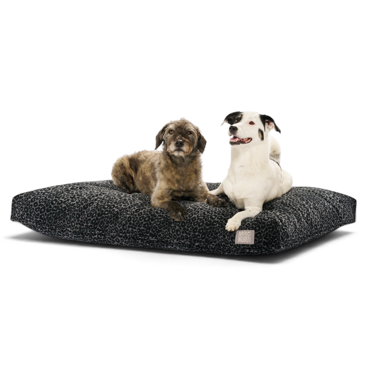Hundekissen - Kivo Leo Black