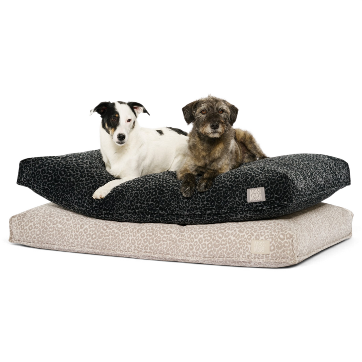 Hundekissen - Kivo Leo Black