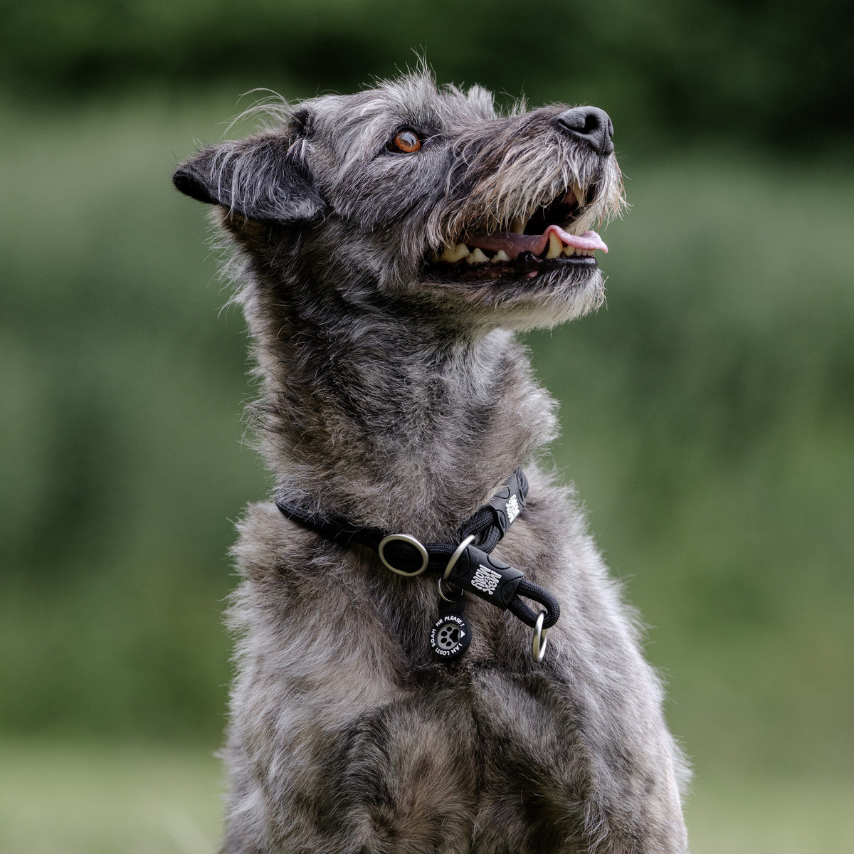 Gotcha! Smart ID Martingale Collar - Matrix 2.0 Black
