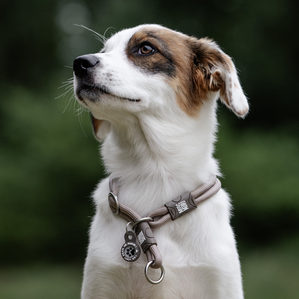 Gotcha! Smart ID Martingale Collar - Matrix 2.0 Sand