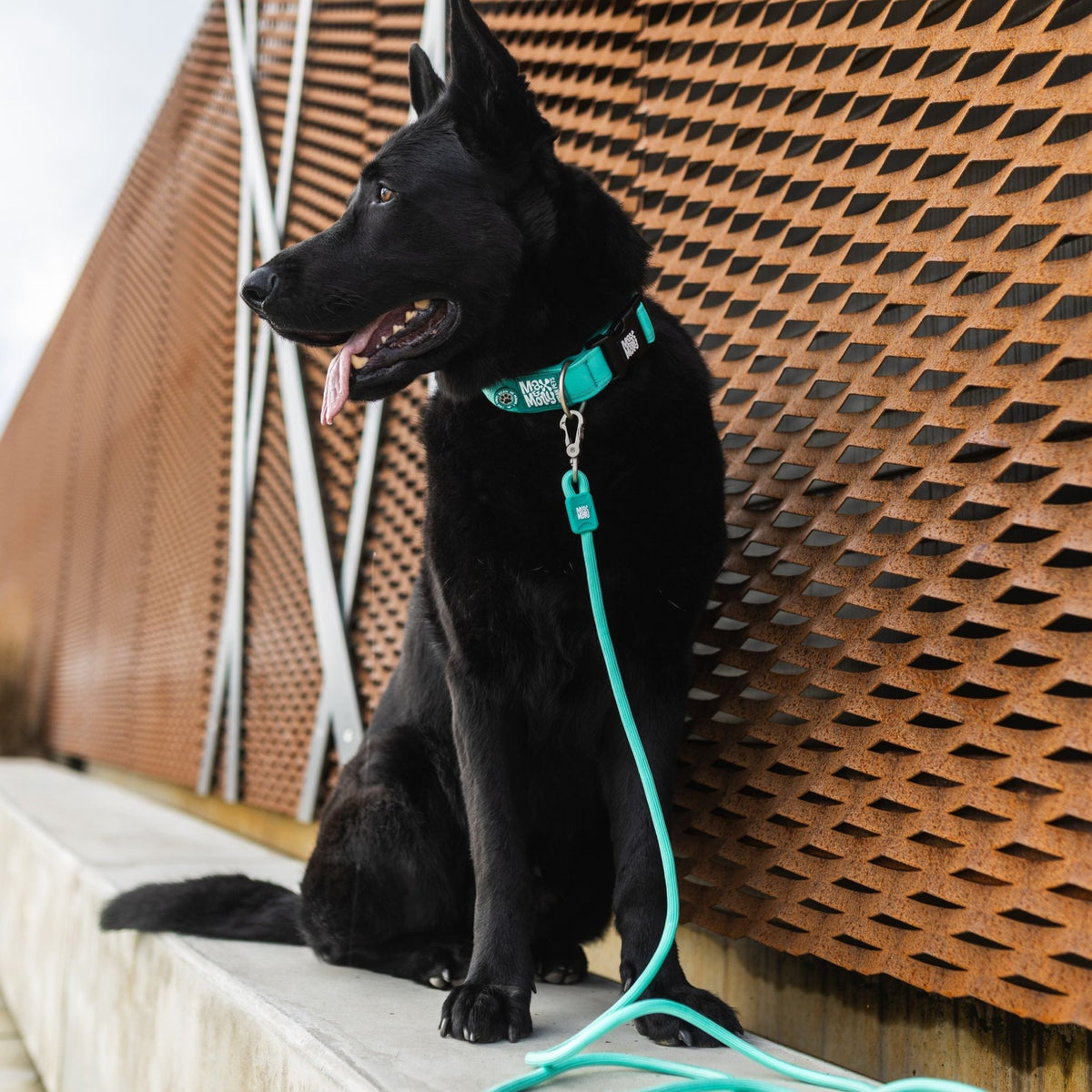 Gotcha! Smart ID Wide Collar - Matrix 2.0 Turquoise