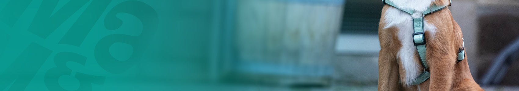 GOTCHA! Smart ID Comfort H-Harness - Matrix 2.0