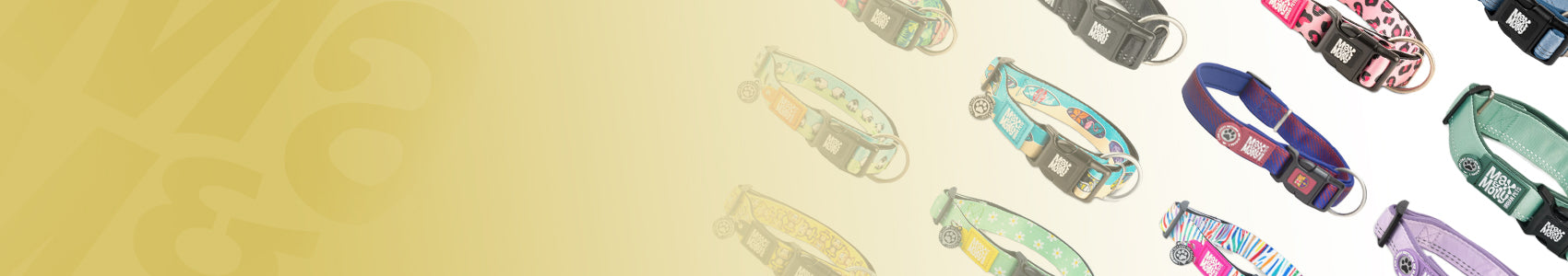 Dog Collars
