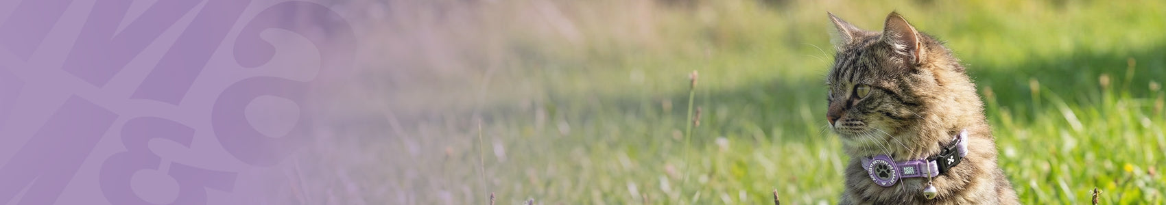 Cat Collar Matrix 2.0