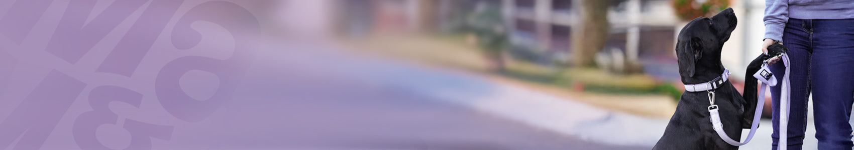 Multileine - Matrix 2.0