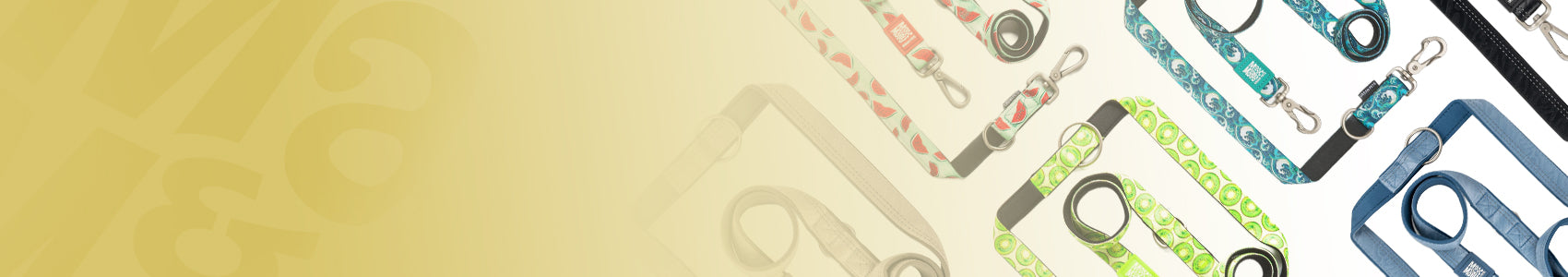 Multi Function Leashes