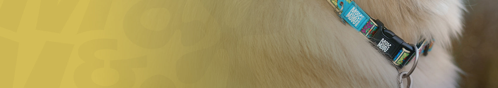 Original - Dog Collar