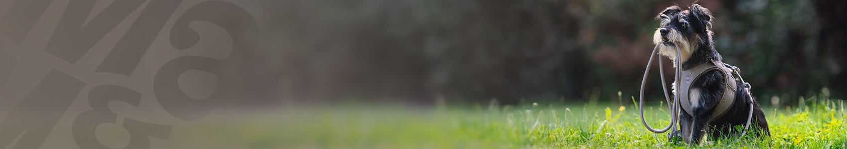 Rope leash - Matrix 2.0