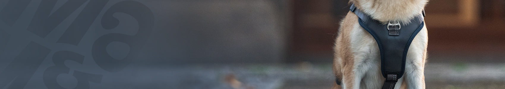 Matrix 2.0 Sport - Harness