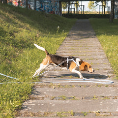 Schleppleine mit Handschlaufe - Matrix 2.0 Ocean