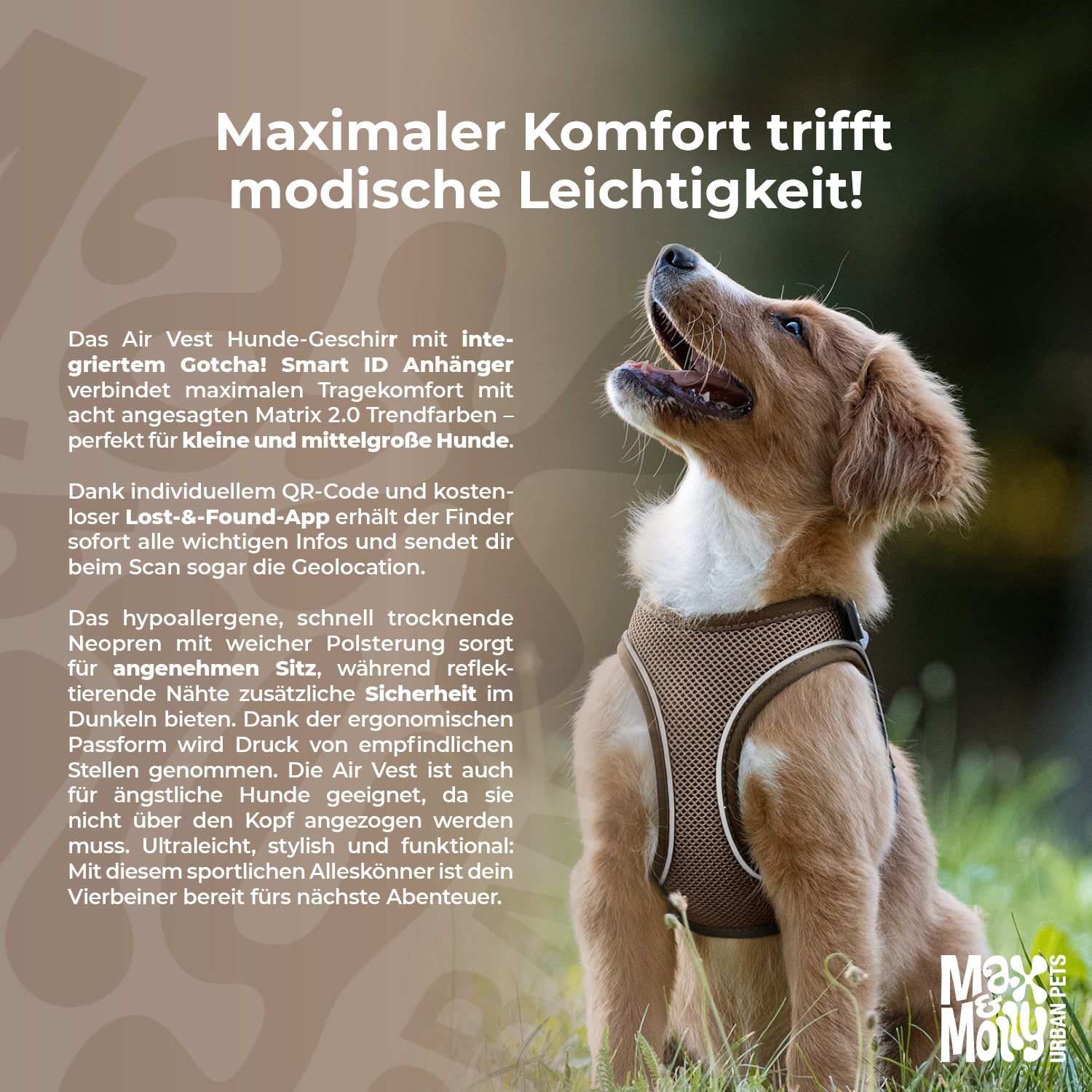 Air Vest Dog Harness - Matrix 2.0 Rose