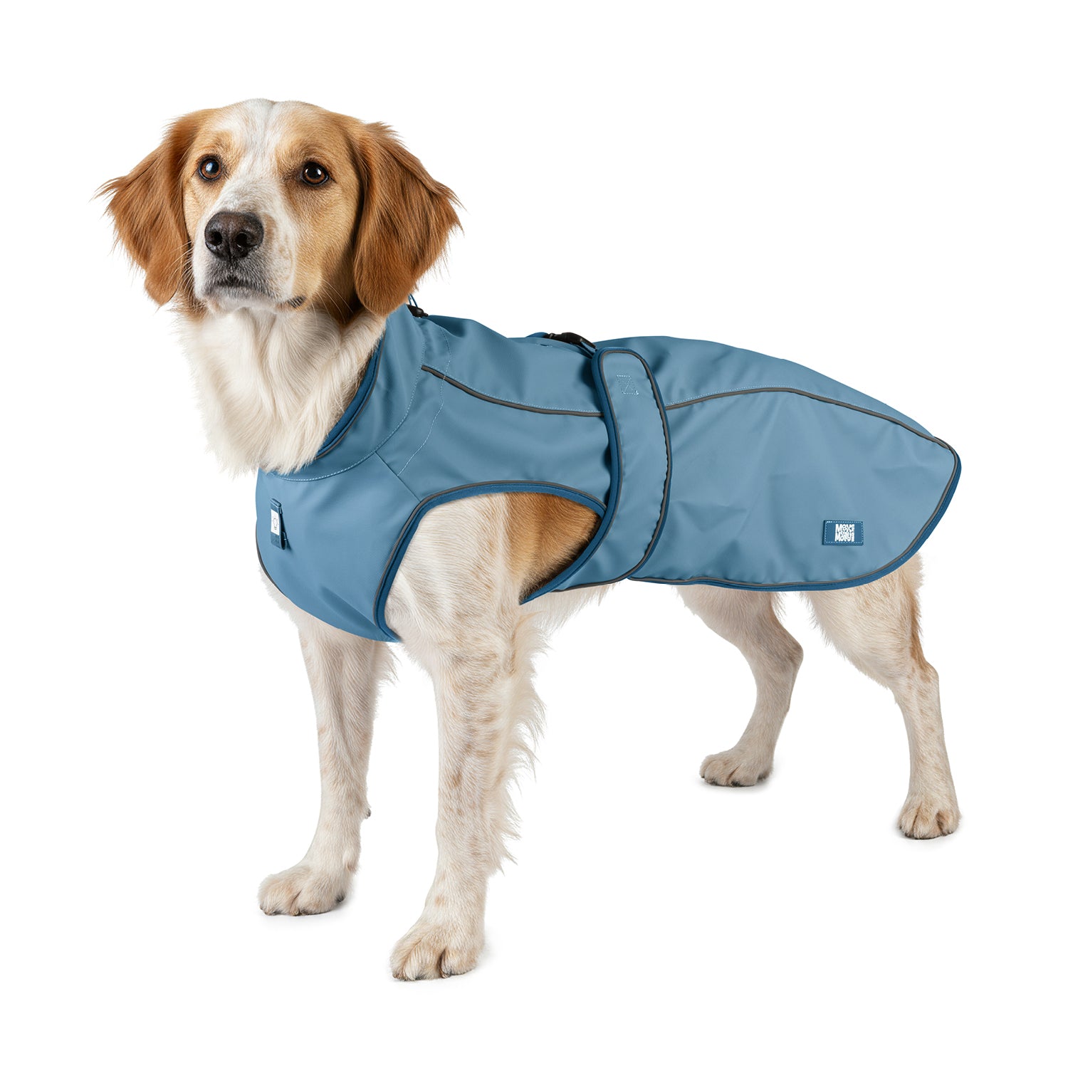 Raincoat for dogs - MATRIX 2.0 OCEAN