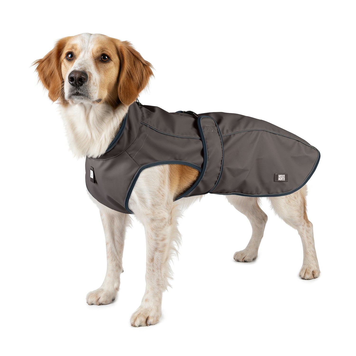 Raincoat for dogs - MATRIX 2.0 STONE