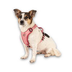 GOTCHA! Smart ID Sport Harness - Matrix 2.0 Rose