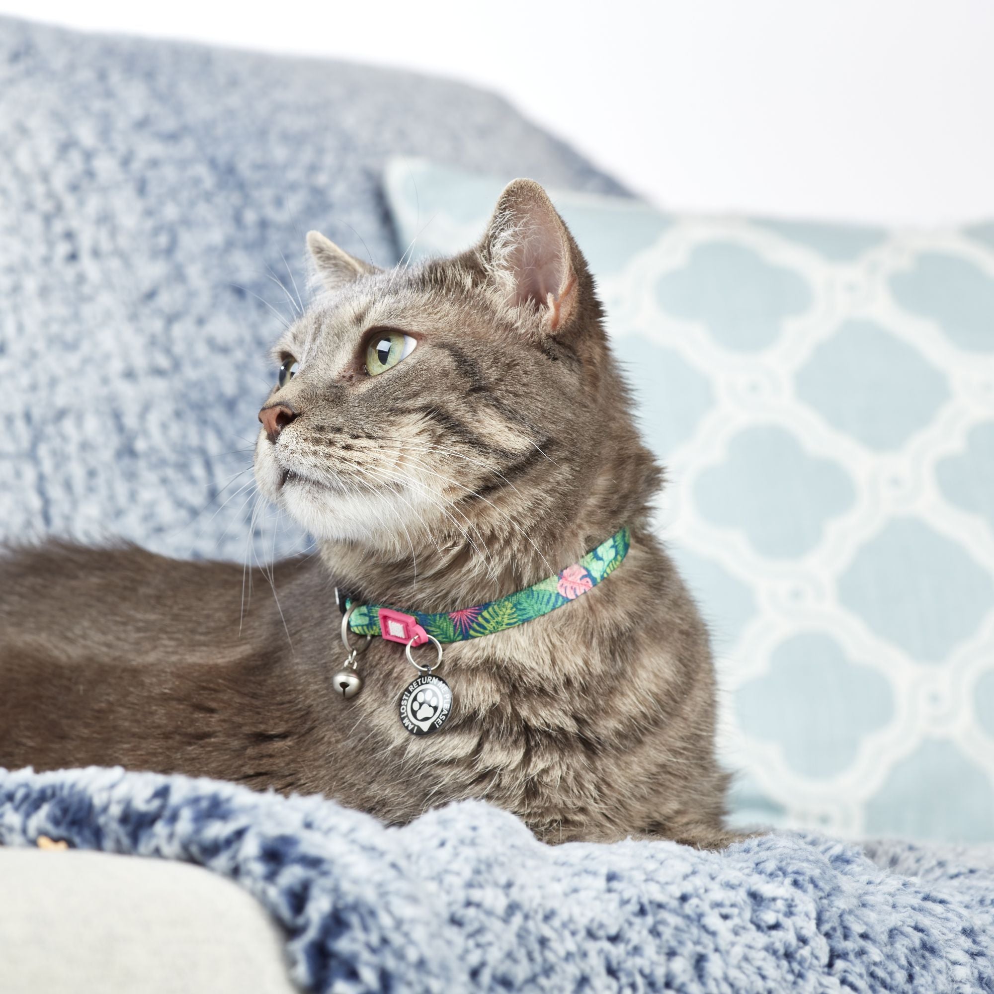 Smart ID Katzen Halsband - Tropical