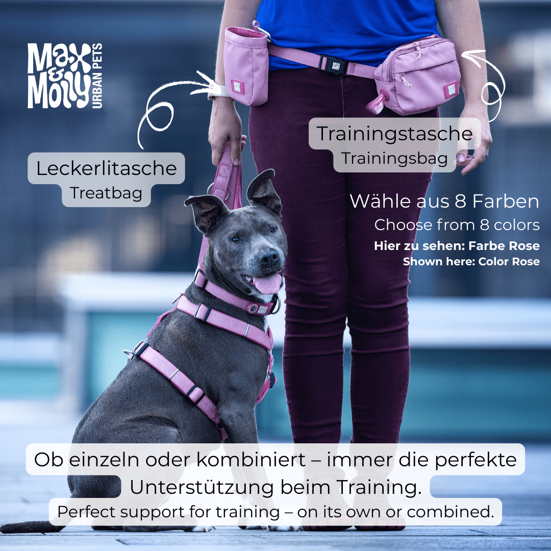 Training Bag  - Matrix 2.0 Black