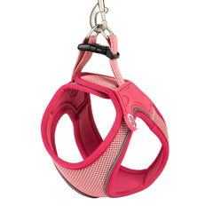 Max & Molly dog vest harness – breathable, lightweight, and ergonomic for maximum comfort and control.