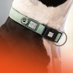 GOTCHA! Smart ID Collar - Watermelon – Max & Molly Urban Pets