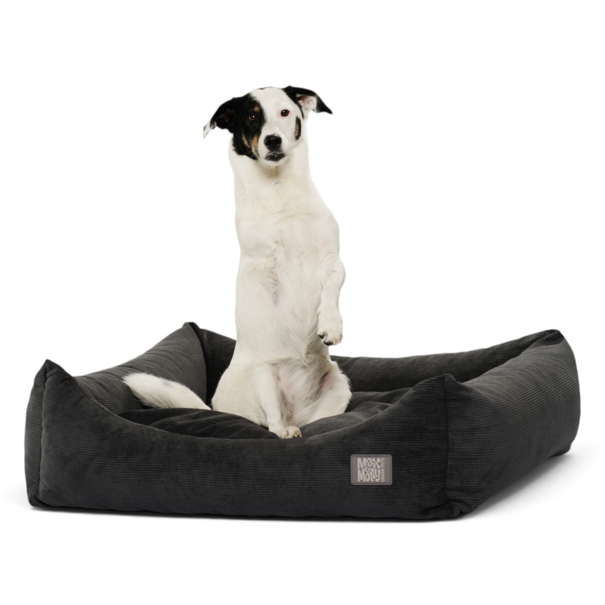 Hundebett Lounge - Vela Cord Grey