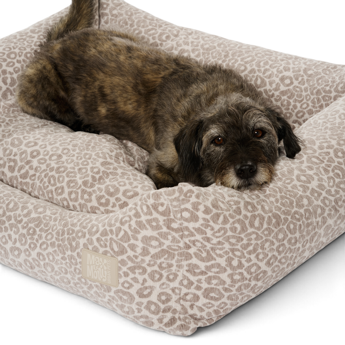Dog Lounge Bed - Vela Leo Beige