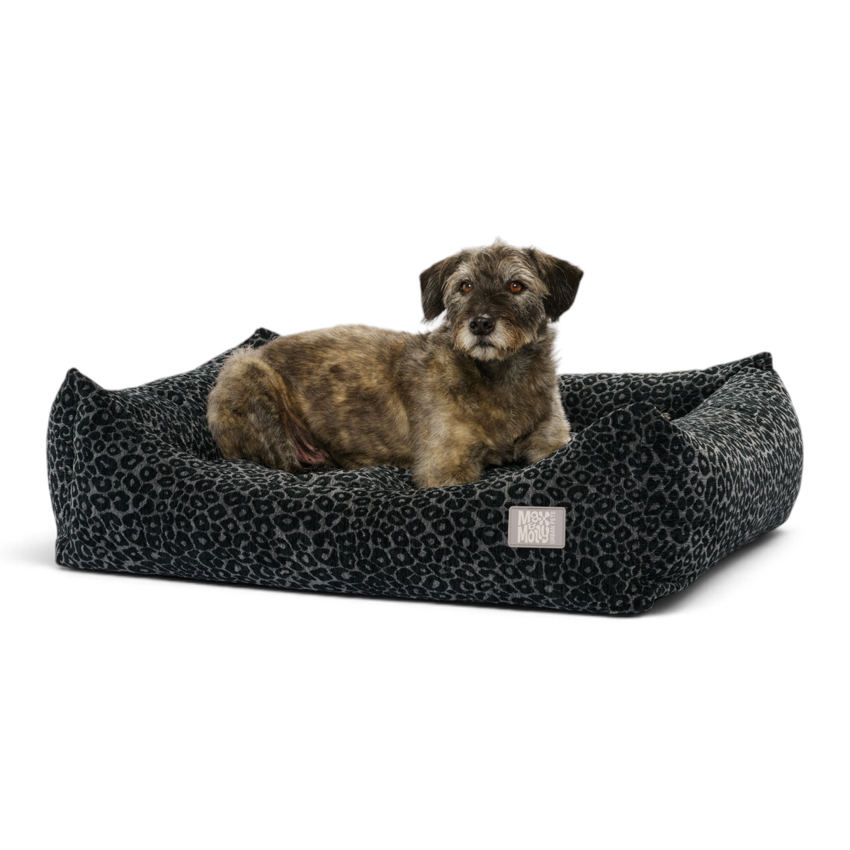 Hundebett Lounge - Vela Leo Black
