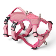 Smart ID Safety Sport Harness - Matrix 2.0 Rose