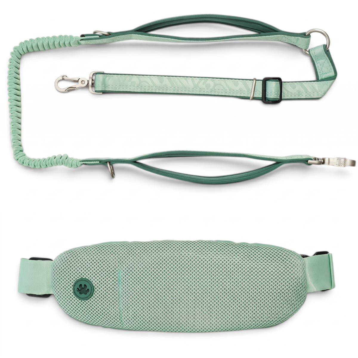 Jogging Leash with Waist Bag -  Matrix 2.0 Jade