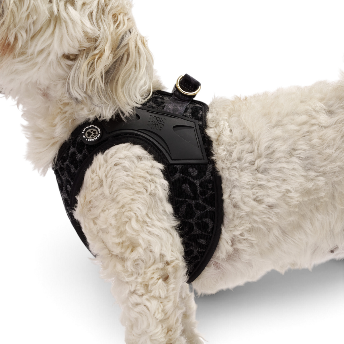 Air Vest Dog Harness - Leo Black