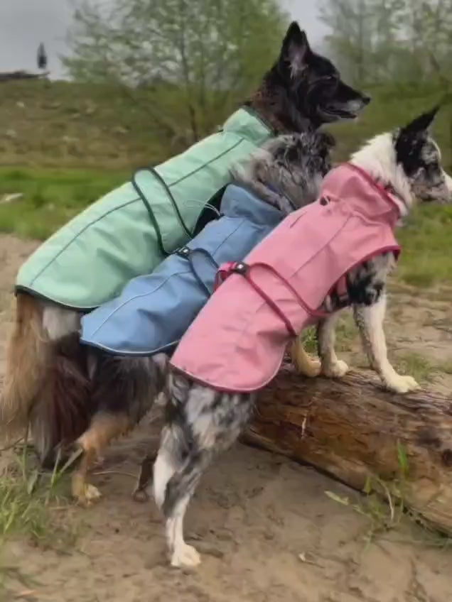 Video laden: Regenmantel für Hunde - Matrix 2.0 Black