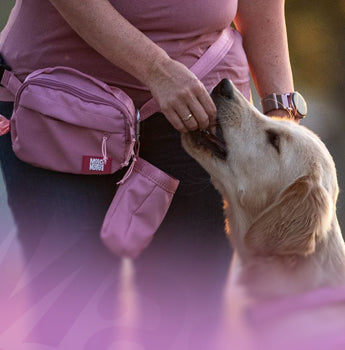 Max & Molly Urban Pets