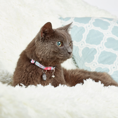 Smart ID Cat Collar - Cherry Bloom