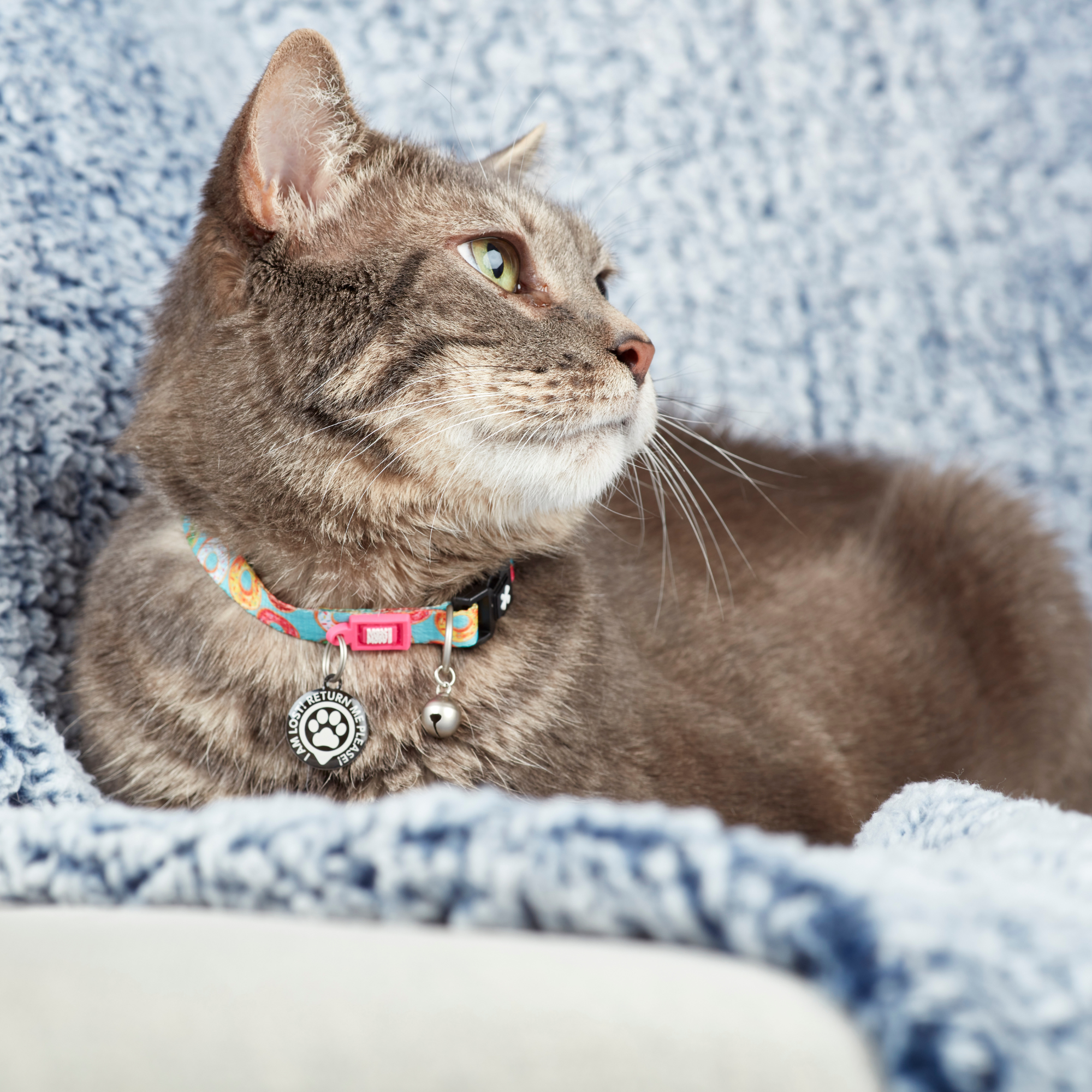 Smart ID Cat Collar - Donuts