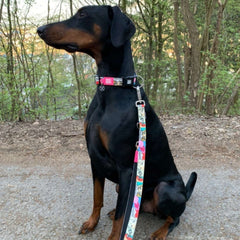 GOTCHA! Smart ID Collar - Missy Pop