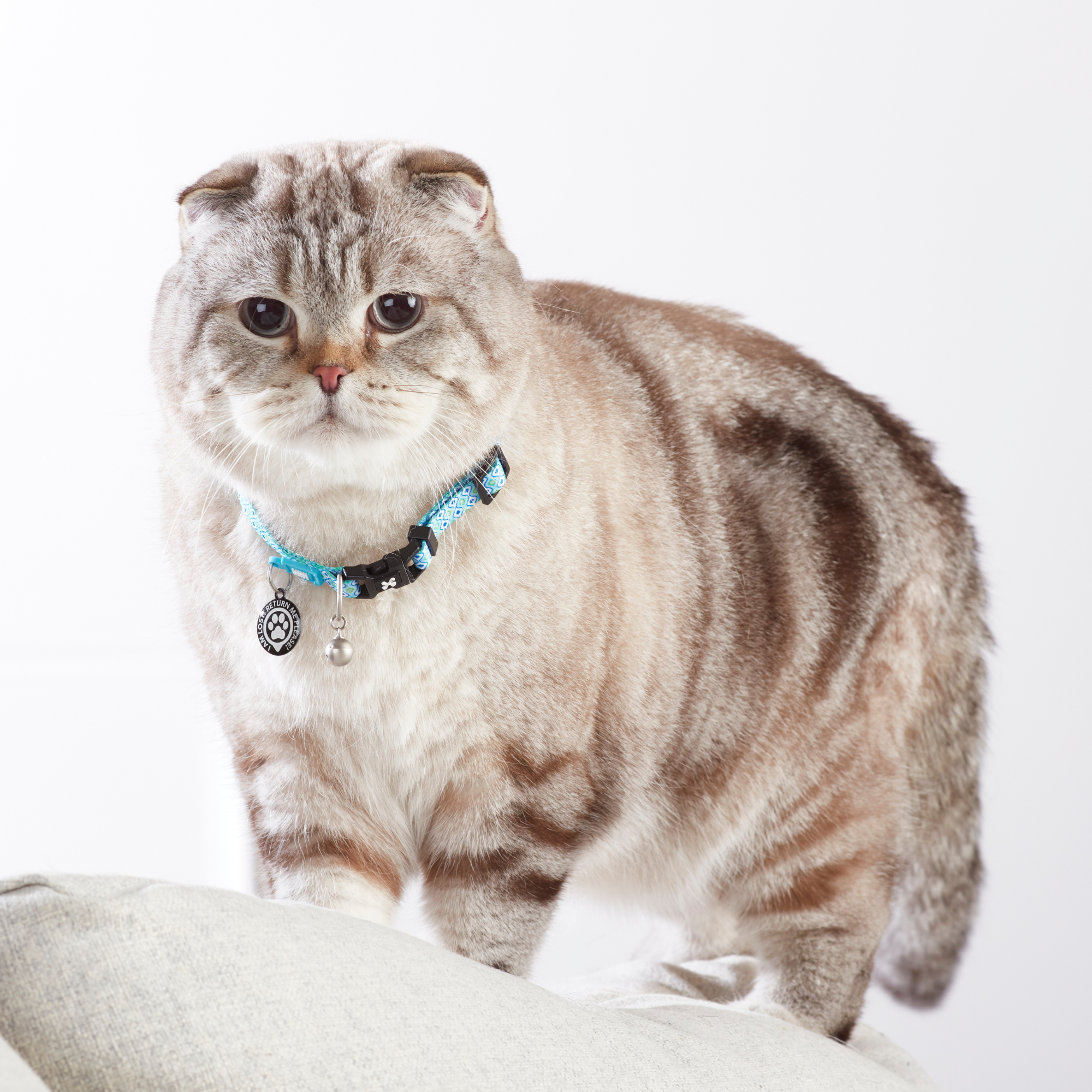 Smart ID Cat Collar - Retro Blue